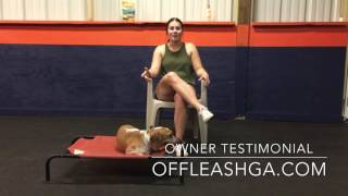 Owner Testimonial | Beagle Mix | Off Leash K9 Training, Georgia