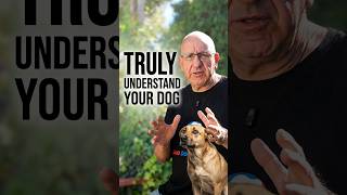 I completely Understand You and Your Dog.