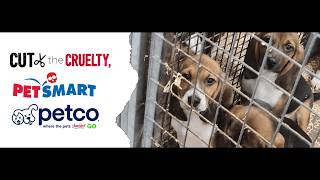 PetSmart and PetCo Support Animal Testing #CutTheCruelty