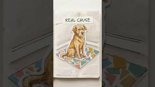 The real reason dogs chew and soil indoors #dogtraining