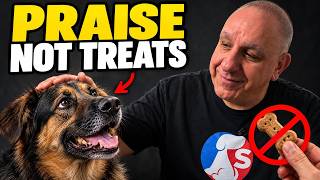 If You Praise Your Dog Daily, This Is What It Does To The Brain