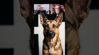 The 3 D's That Will Make Your Dog Listen