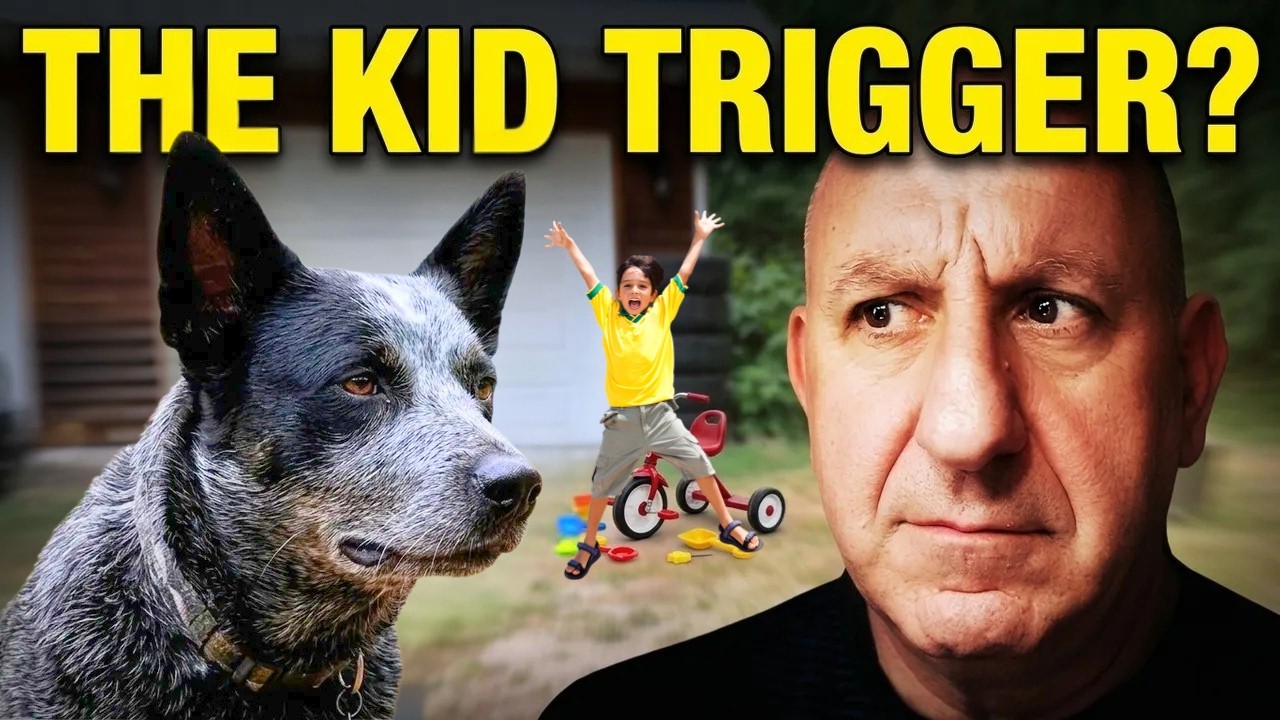Why Your Blue Heeler Attacks Kids & Strangers—And How to Fix It