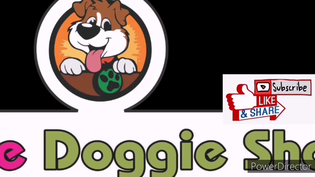 Introduction The Beagle Puppies Leothedoggieshop Mukul Asiwal Petlovers Beagle Crazydogs