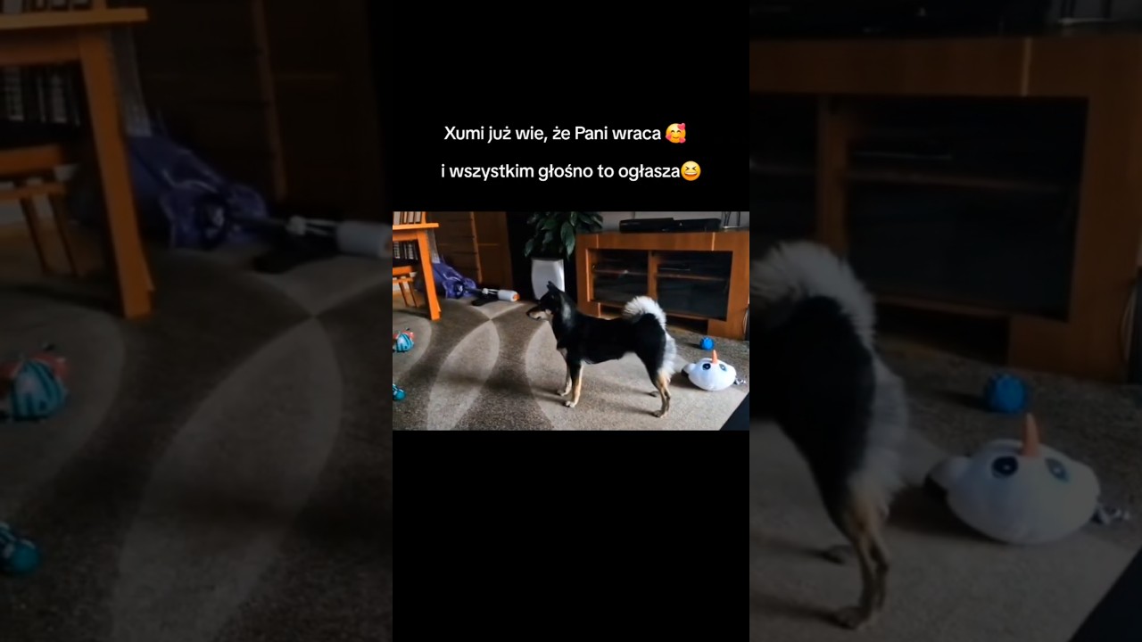 Xumi juz wie, że Pani wraca
