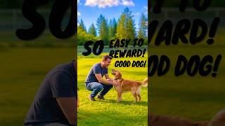 How Do W e Reward A dog's Good Behaviour