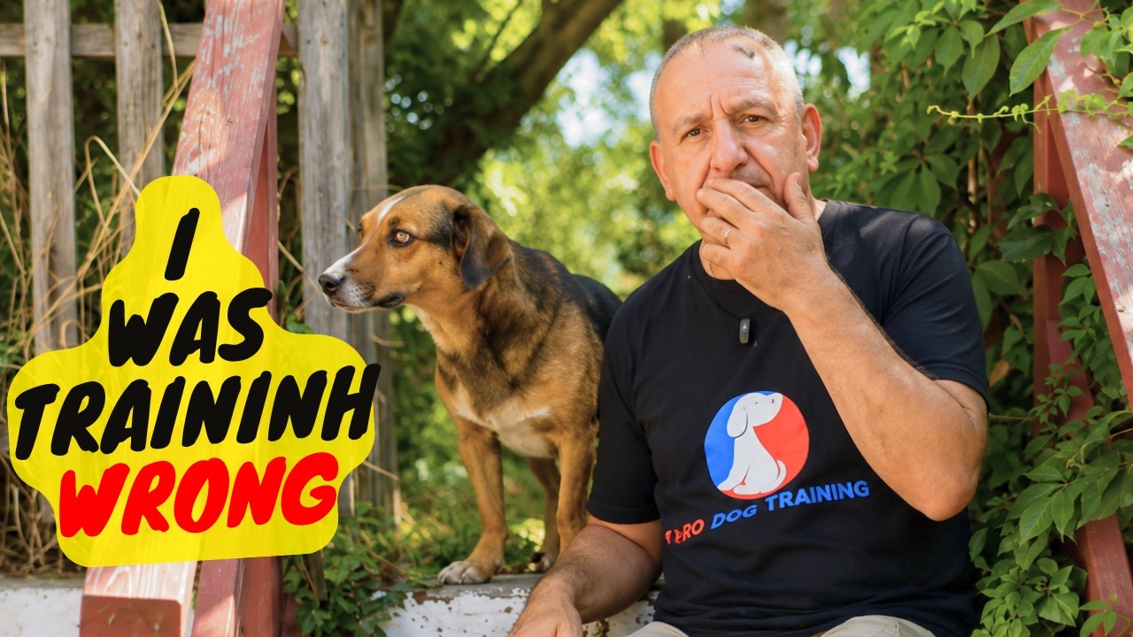 My Dog Wouldn't Listen - Here's What I Got Wrong