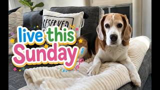 ⭐️ Oliver's 10th birthday livestream ⭐️