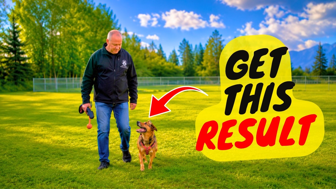 If Your Dog Ignores You Outside Do This Now!