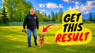 If Your Dog Ignores You Outside Do This Now!