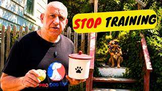 DON'T Train Your Dog With Treats — Do This Instead!