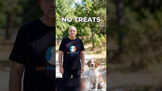 The secret to a better bond with your dog