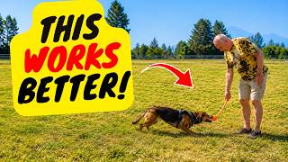 How Play Replaces Treats Completely - Fetch as Motivation?