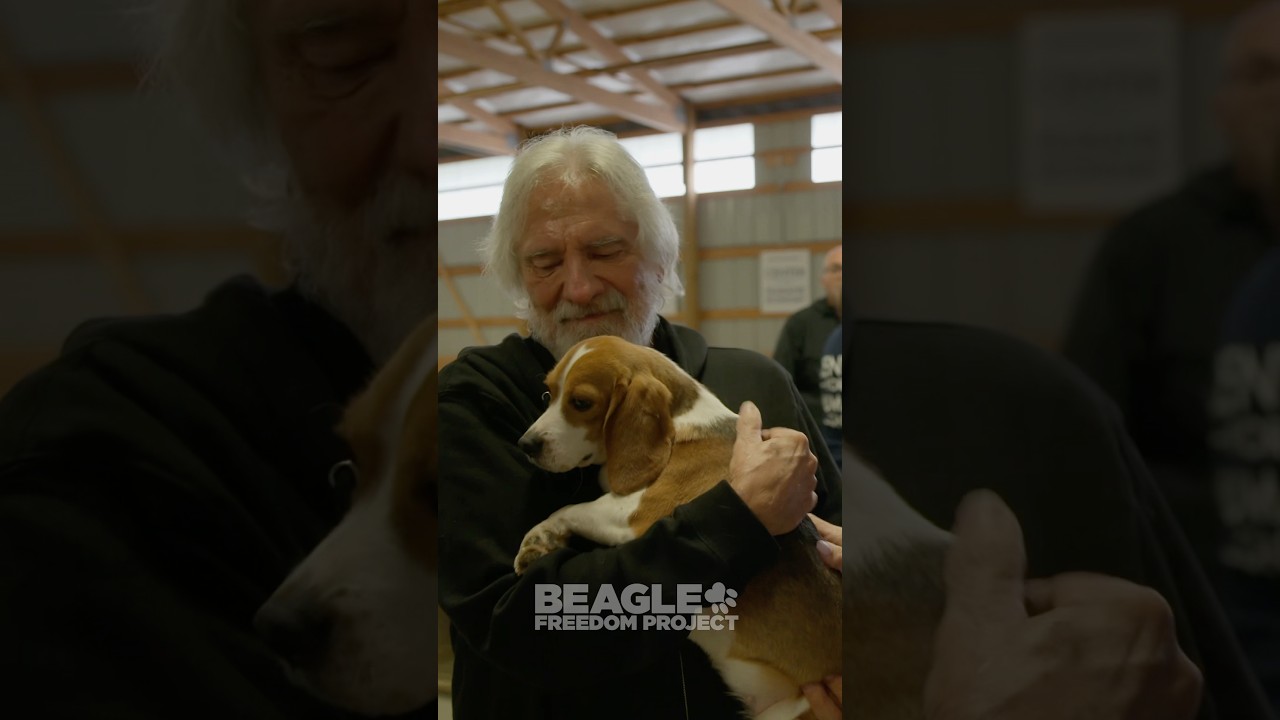 Geezer Butler at the Ridglan Release πΆβ€οΈ #beaglefreedomproject
