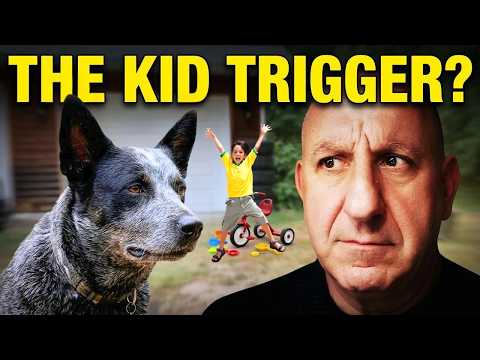 Why Your Blue Heeler Attacks Kids & Strangers—And How to Fix It