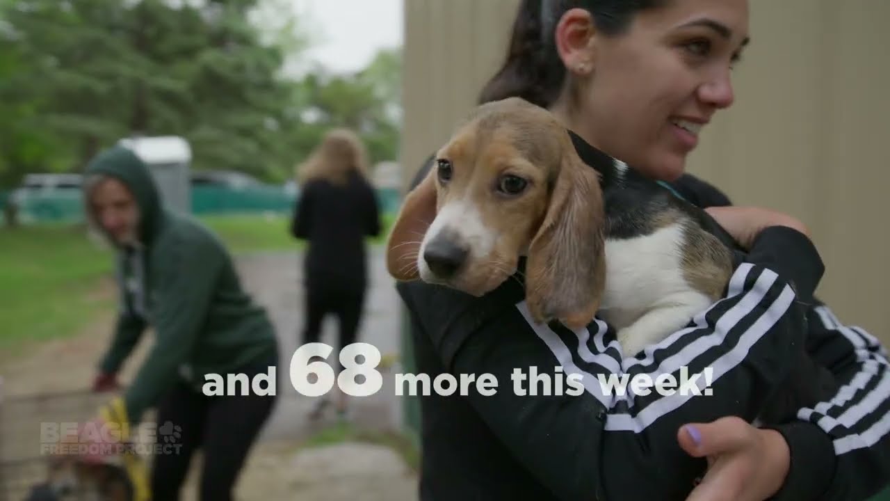 RIDGLAN RELEASE: DAYS 3 & 4 | Beagle Freedom Project